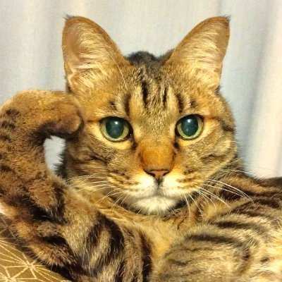 プロフィール画像