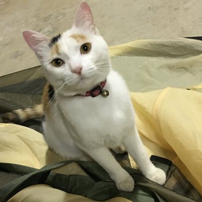 プロフィール画像