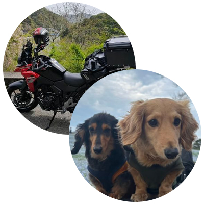 プロフィール画像